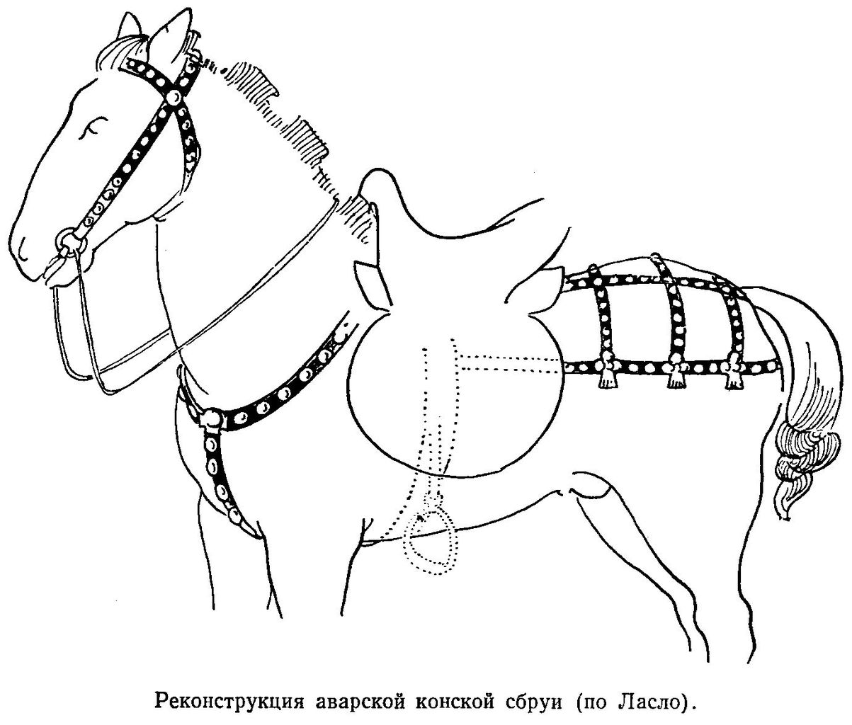 Реконструкция аварской конской сбруи (по Ласло)