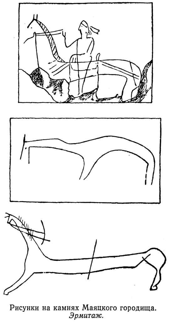 Рисунки на камнях маяцкого городища. Эрмитаж