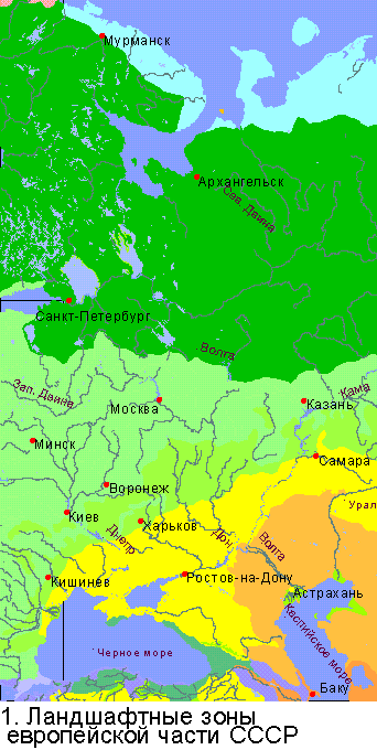 Ландшафтные зоны европейской части
СССР (26240 bytes)